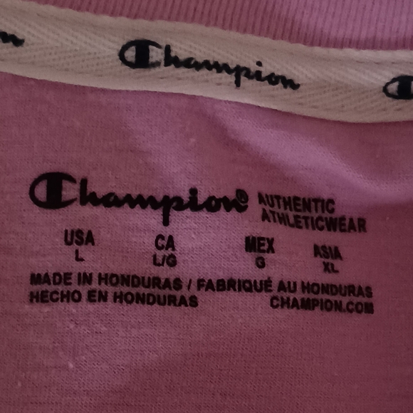 Champion - Picture 3 of 5